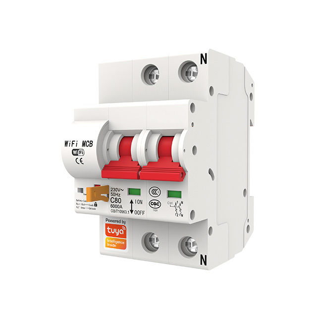 Diferencial interruptor WiFi Tuya Smart MCB Cierre circuito 2 lineas