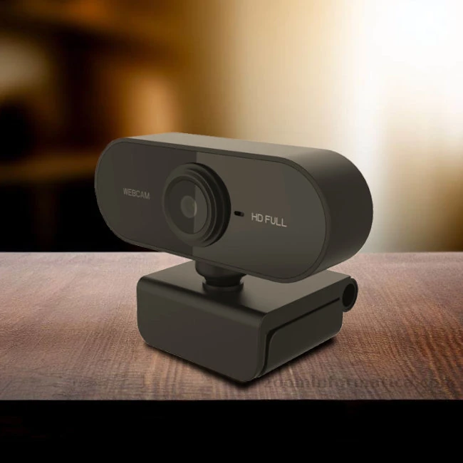 Camara WebCam Full-HD Wonect PC1